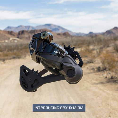 SHIMANO GRX DI2 RX825 1x12速 單片套件